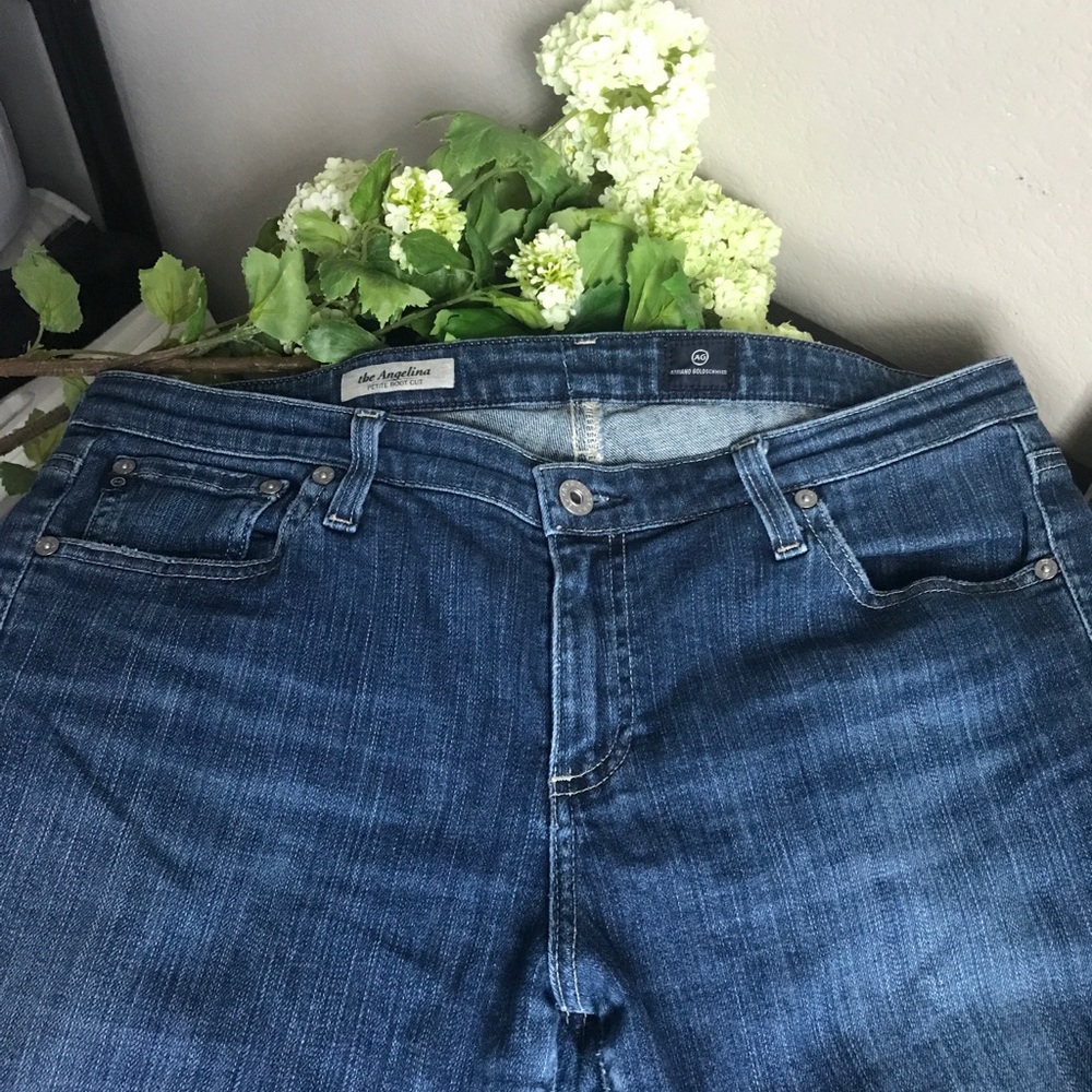 Adriano Goldschmied The Angelina Petite Boot Cut